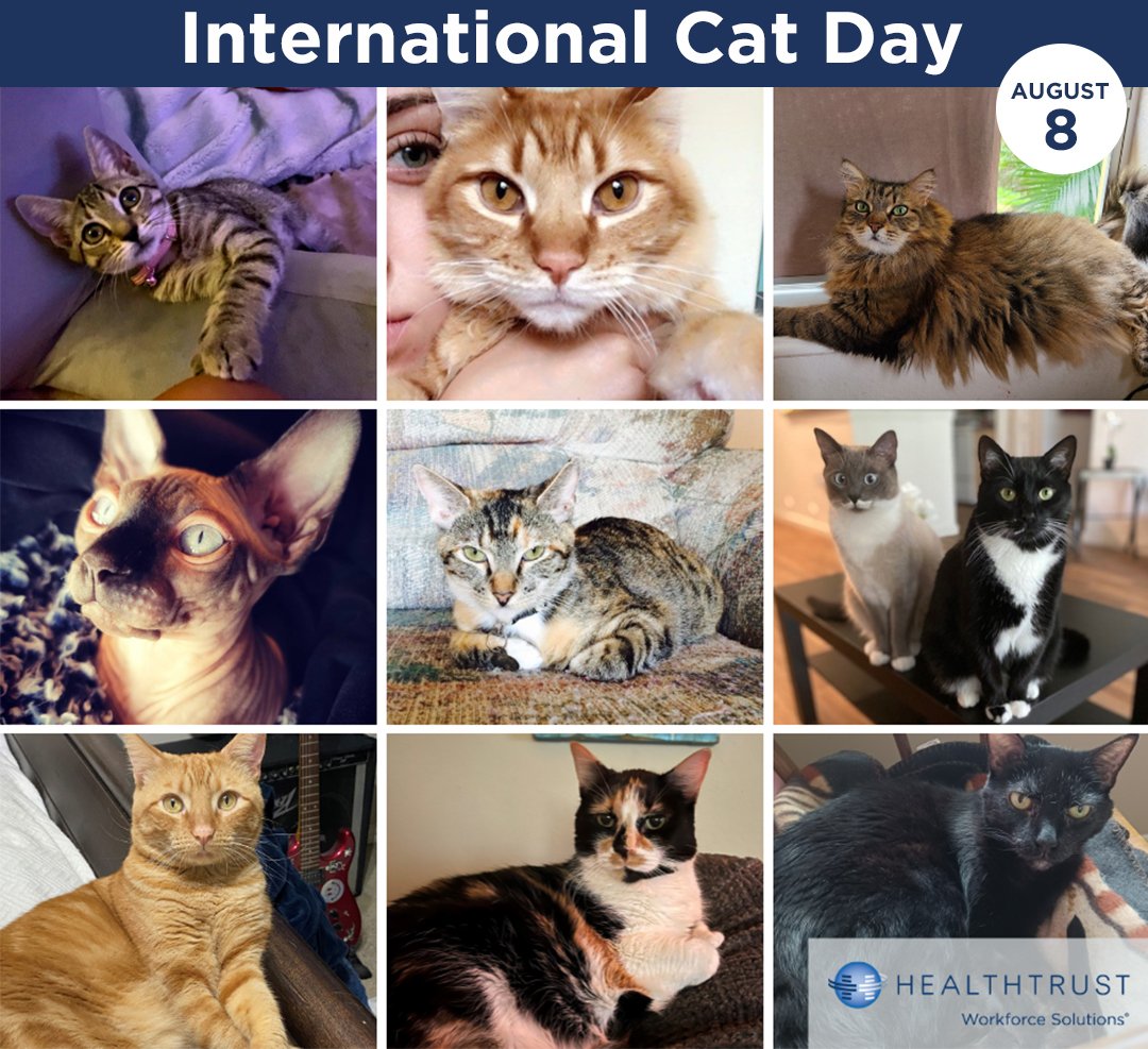 National-Cat-Day---FBjpg